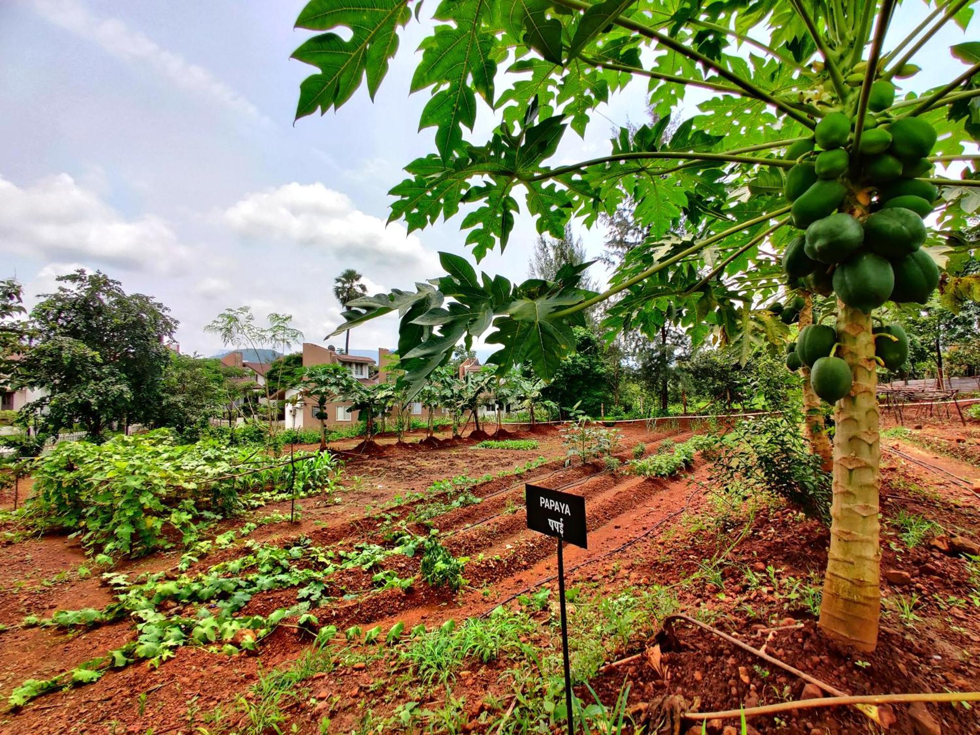 Pushpam Sanskruti Resort Karjat - A Pure Veg Resort Dhamni Exterior photo