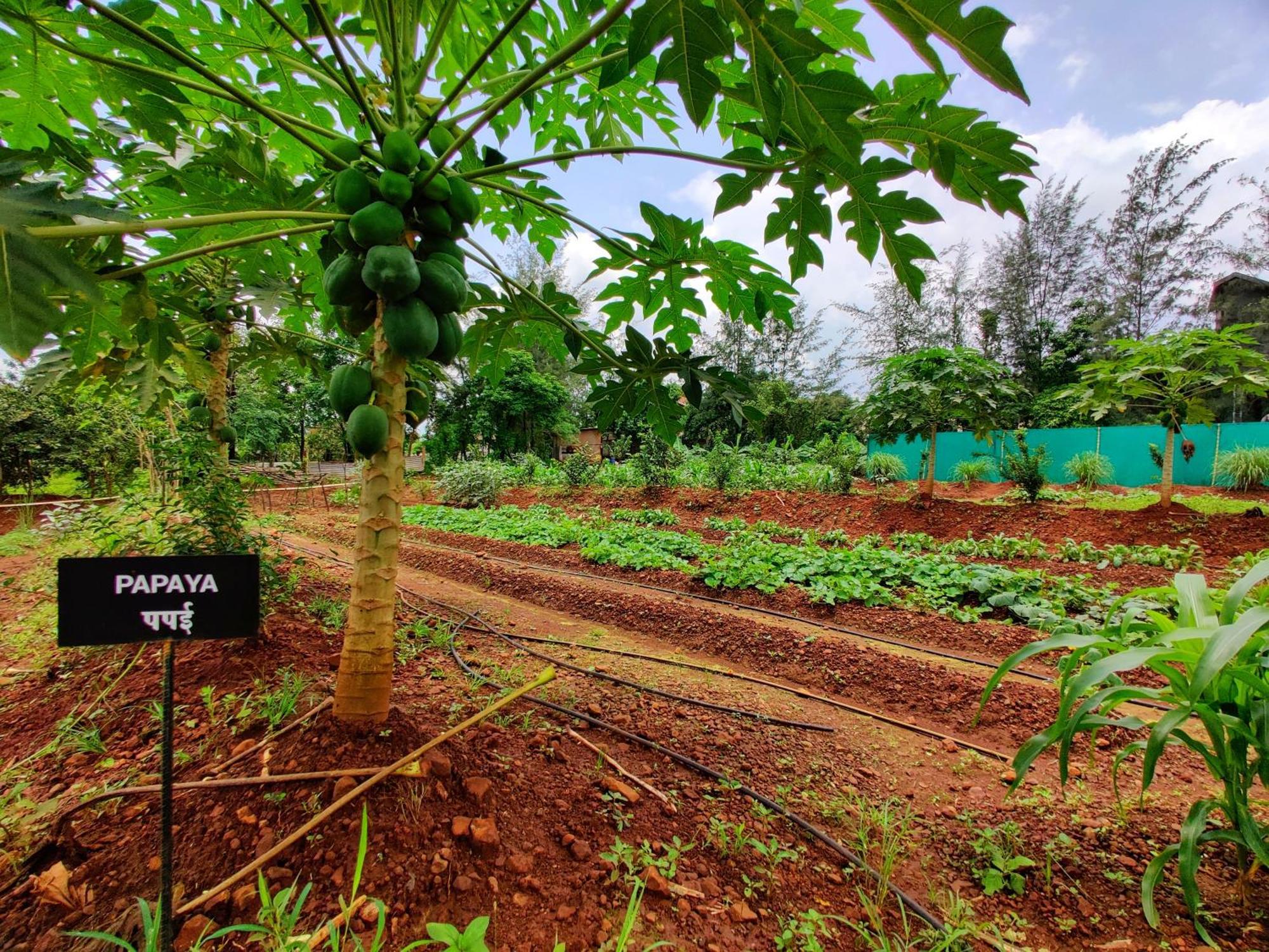 Pushpam Sanskruti Resort Karjat - A Pure Veg Resort Dhamni Exterior photo